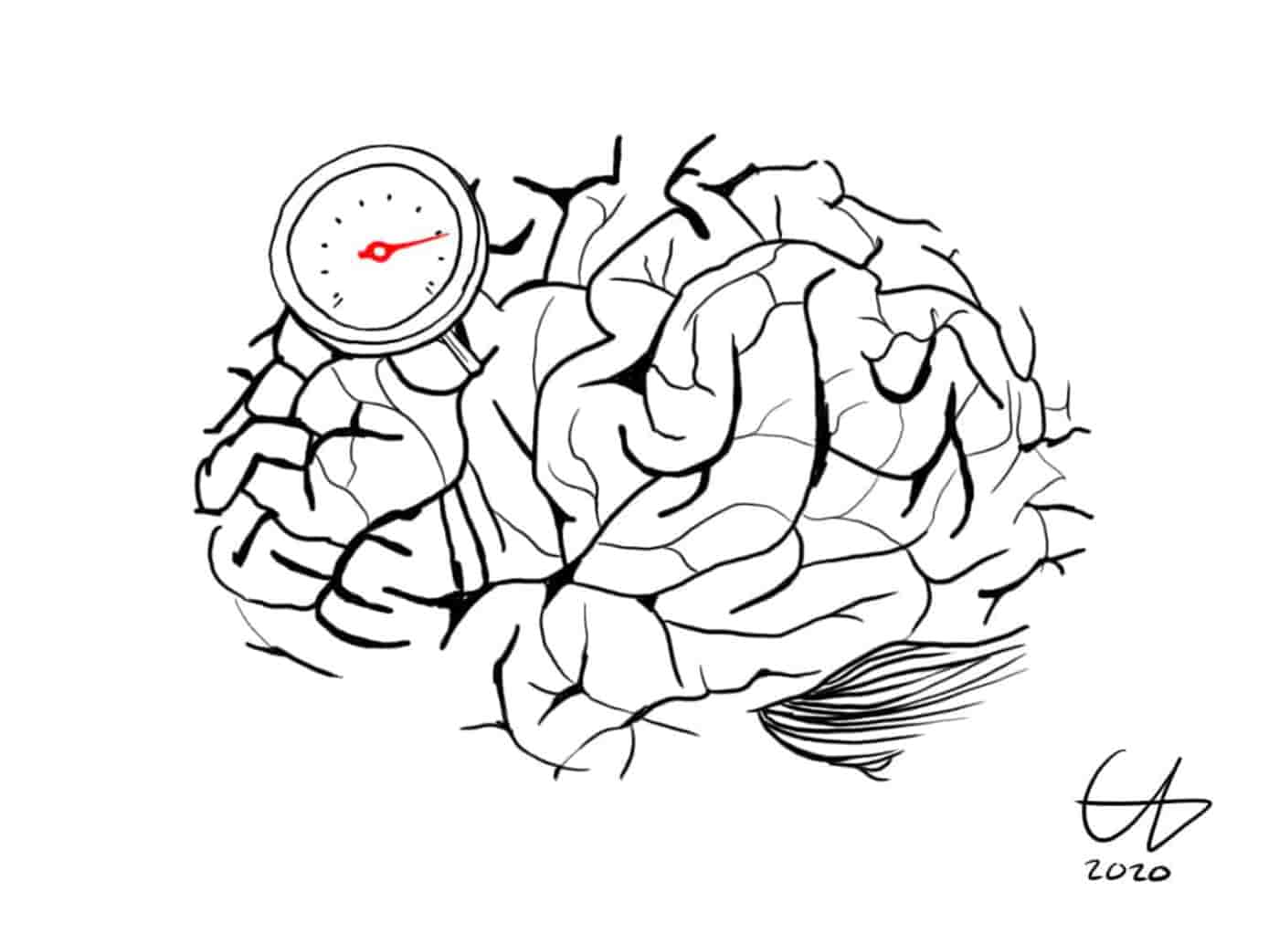 Brain Drawing